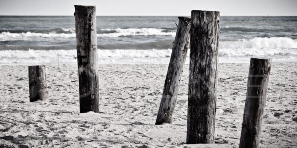 Posts in the Sand – Surfside, TX