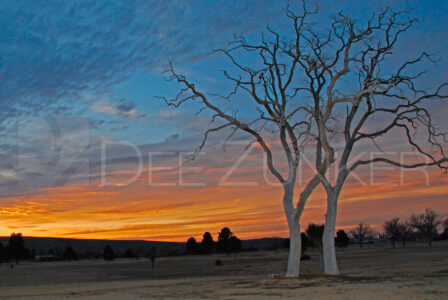 New Mexico Sunset