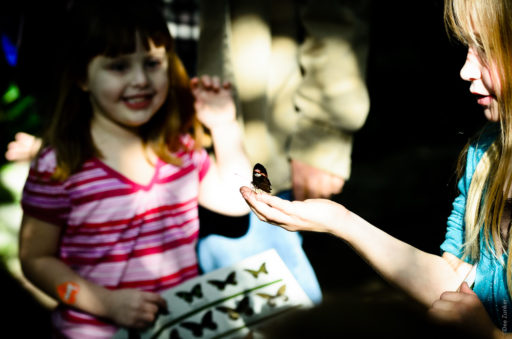 Girls with butterfly in color at Cockrell Butterfly Museum by Houston Commercial Photographer Dee Zunker