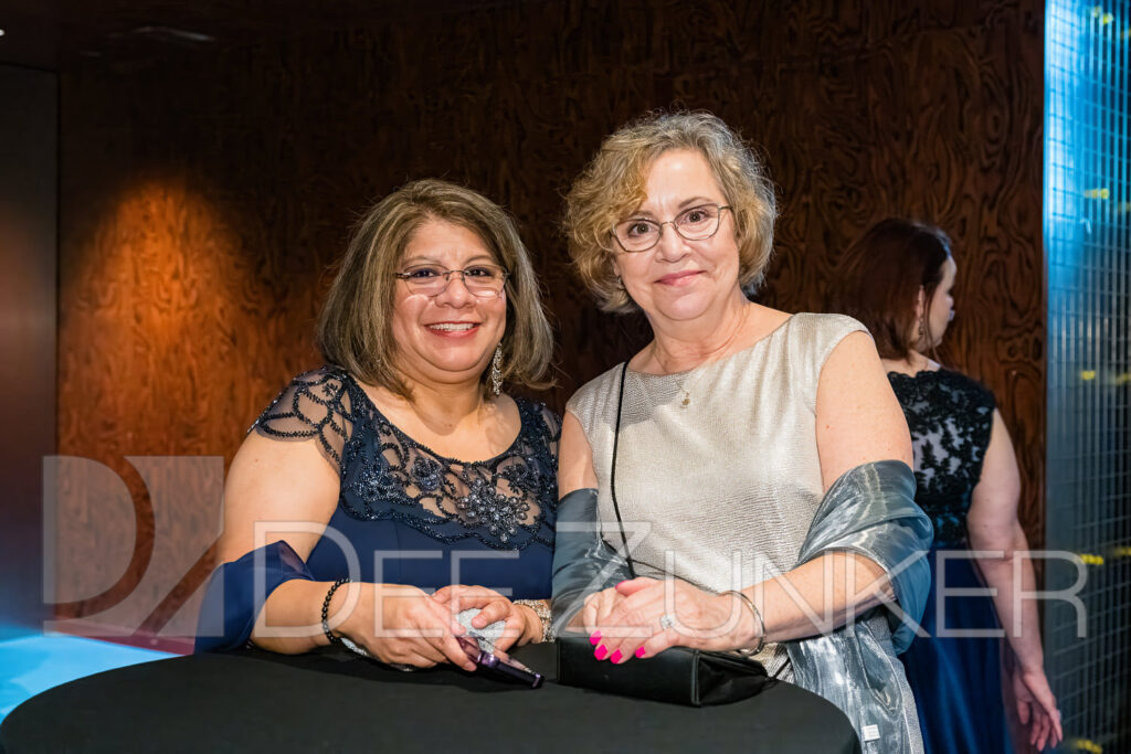 4056-AIAH-Gala2024-015.jpg  Houston Commercial Architectural Photographer Dee Zunker