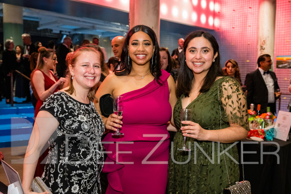 4056-AIAH-Gala2024-027.jpg  Houston Commercial Architectural Photographer Dee Zunker