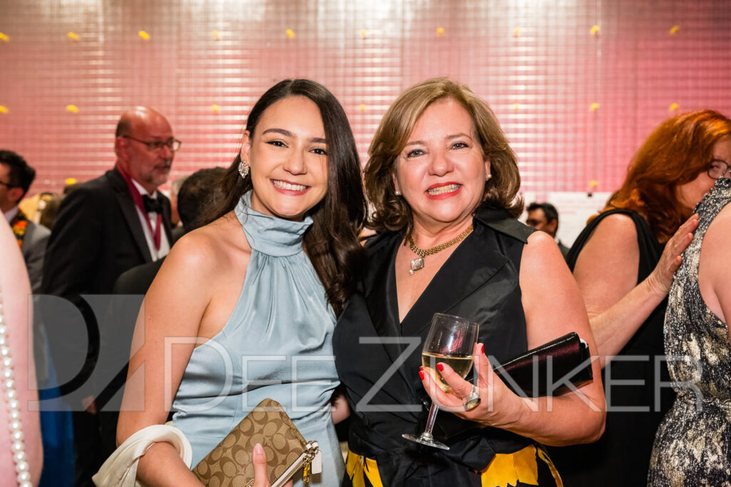 4056-AIAH-Gala2024-035.jpg  Houston Commercial Architectural Photographer Dee Zunker